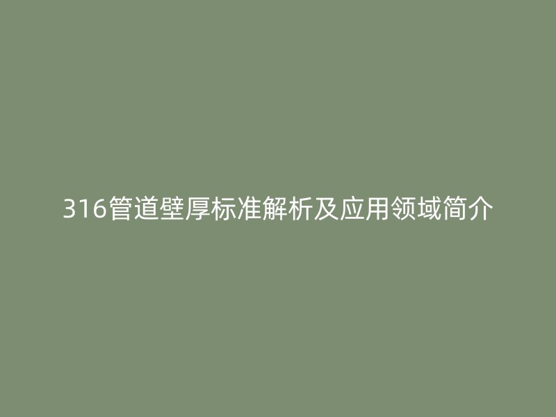 316管道壁厚標(biāo)準(zhǔn)解析及應(yīng)用領(lǐng)域簡介